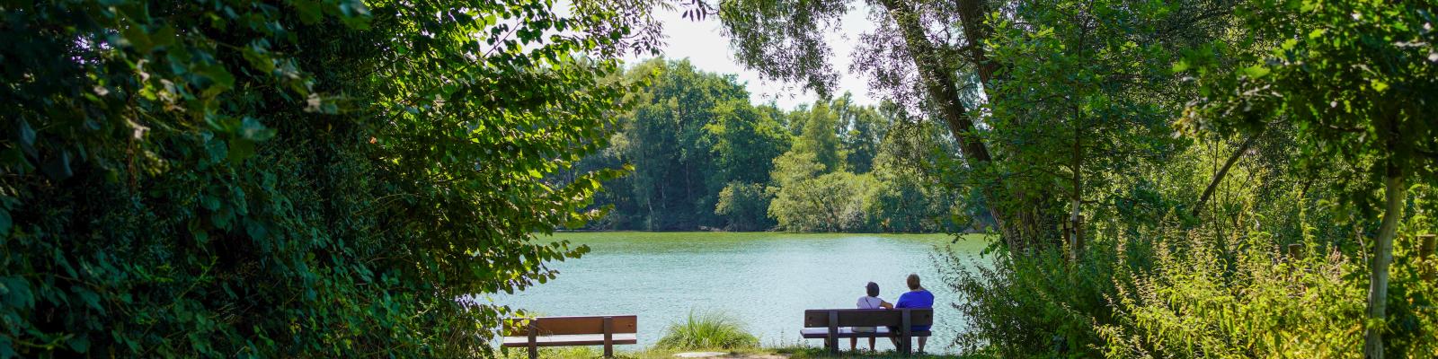 Panoramabild: ein Paar genießt auf einer Bank unter Schatten spendenden Bäumen den freien Blick über den Borner See