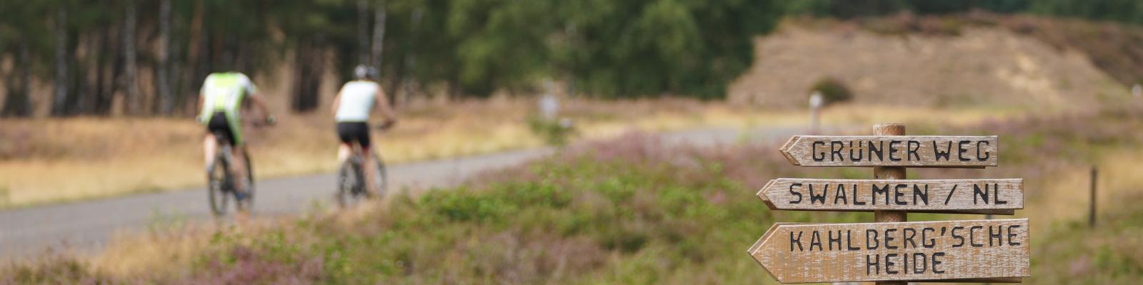 Panoramabild mit hölzernem Wegweiser Richtung Grüner Weg, Swalmen in den Niederlanden, Kahlberg´sche Heide, Brüggen und Aussichtspunkt im Vordergrund. Hinten Radeln zwei Menschen durch die Heide