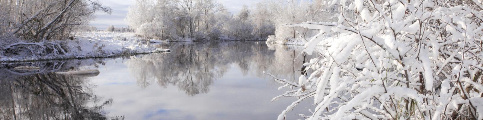 Panoramablick über See: am Seeufer schneebedeckte kahle Bäume, Himmel und Ufer spiegeln sich im See, blauer Himmel bedeckt mit weißen Wolken