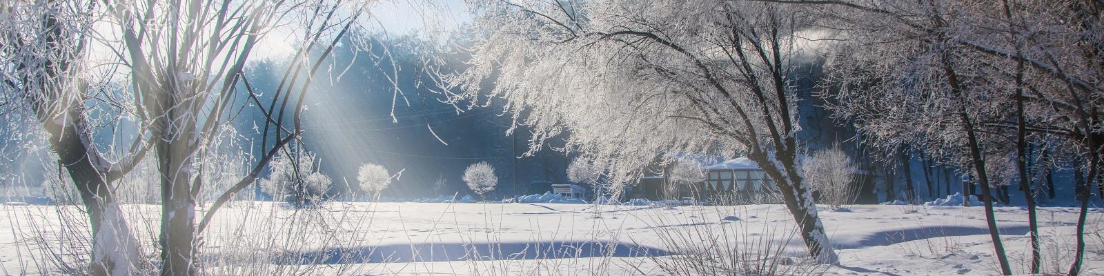 Panoramablick über weiße, schneebedeckte Landschaft: im Vordergrund kahle, von Frost bedeckte Bäumen auf einer verschneiten Wiese, im Hintergrund schneebedeckte Gebäude, einzelne kahle Bäume am Rand eines Waldes mit dichtem Baumbewuchs, blauer Himmel mit strahlender Sonne