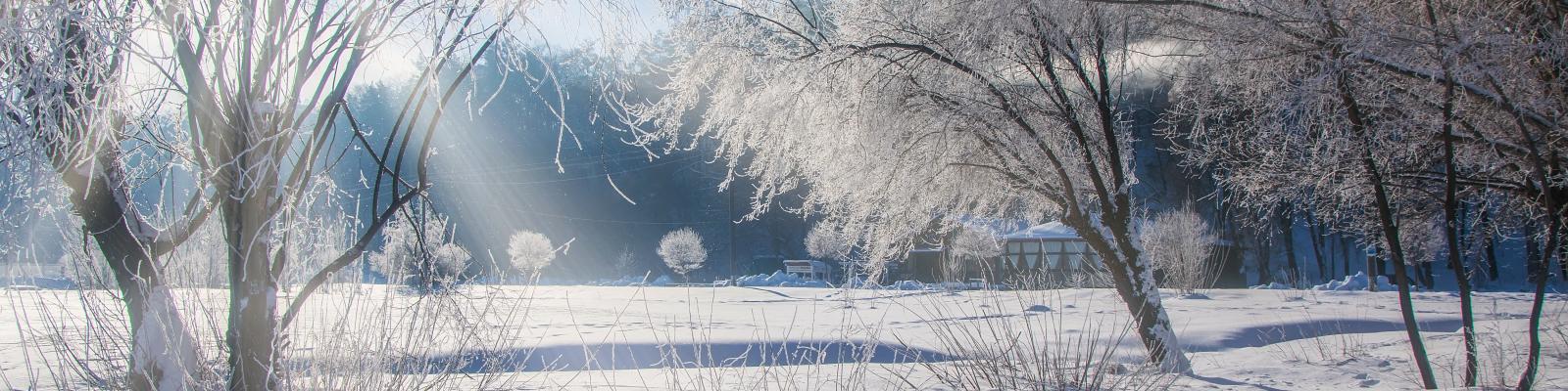 Panoramablick über weiße, schneebedeckte Landschaft: im Vordergrund kahle, von Frost bedeckte Bäumen auf einer verschneiten Wiese, im Hintergrund schneebedeckte Gebäude, einzelne kahle Bäume am Rand eines Waldes mit dichtem Baumbewuchs, blauer Himmel mit strahlender Sonne