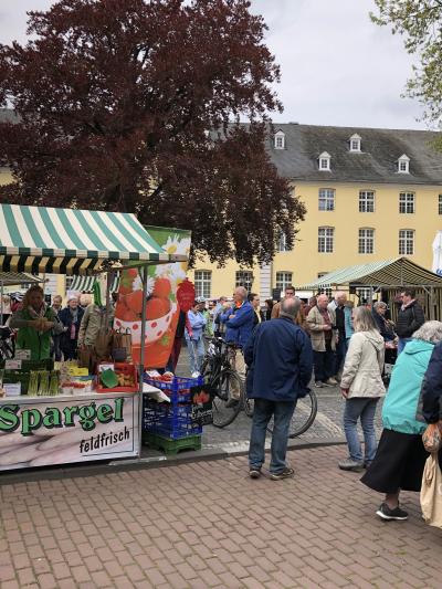 Menschen teils mit Fahrrädern auf Spargelmarkt zwischen bunten Ständen mit Kisten von Obst und Gemüse auf Platz vor gelbem Gebäude mit großen Baum, Stand vorne links mit Aufschrift "Spargel feldfrisch" vor gepflastertem Weg