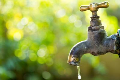 Rechts silberner Wasserhahn, leichte Gebrauchsspuren, Drehgriff in gold, Tropfen hängt mittig runter, Wasser läuft auf Hahn, Hintergrund grün verschwommen