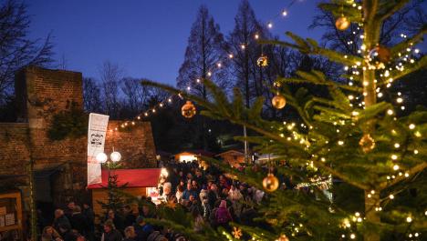Im Vordergrund rechts oberer Teil von grünem Tannenbaum mit goldenen Weihnachtskugeln und Lichterkette, unten Menschenmenge in dicker Winterkleidung zwischen beleuchtete Weihnachtsmarkthütten aus Holz, links Burgmauer aus rotem Backstein, im Hintergrund kahler Baumbewuchs, Himmel bei Dämmerung