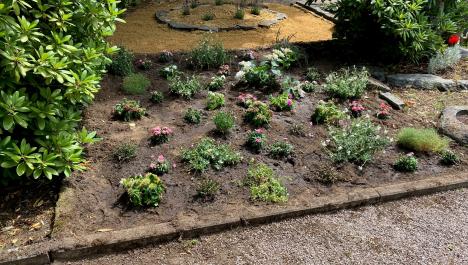 Ein Grünstreifen wurde neu bepflanzt mit Gewächsen und Blumen in unterschiedlicher Reihenfolge. Im Hintergrund ist das Sandarium zu sehen mit dem Steinkreis und dem Sandhaufen. Rechts im Bild ist ein Grab. Links eine grüne Hecke. Im Vordergrund ist ein Weg mit Steinen.