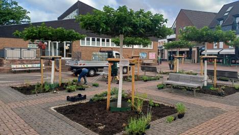 Der Nikolausplatz ist zu sehen. Im Hintergrund sieht man das braune Gebäude des Bauamtes. Im Vordergrund stehen sechs Maulbeerbäume, die jeweils grüne Baumkronen, weiße Stämme und hölzerne Stützen haben. Um die Bäume sind Beete mit Pflanzen. Zwischendrin gibt es Bänke. Der Himmel ist bewölkt und blau. Ein Auto mit Ladefläche ist im Hintergrund. Zwei Bauarbeiter bepflanzen die Beete mit Spaten und Haken.