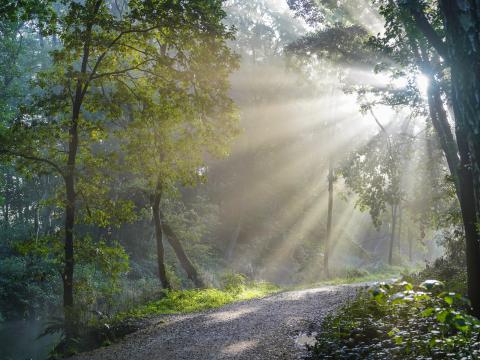 Sonnenbeschienener, steiniger Wanderweg rechts von einem Fluss umgeben vom dichtem Baum- und Strauchbewuchs 