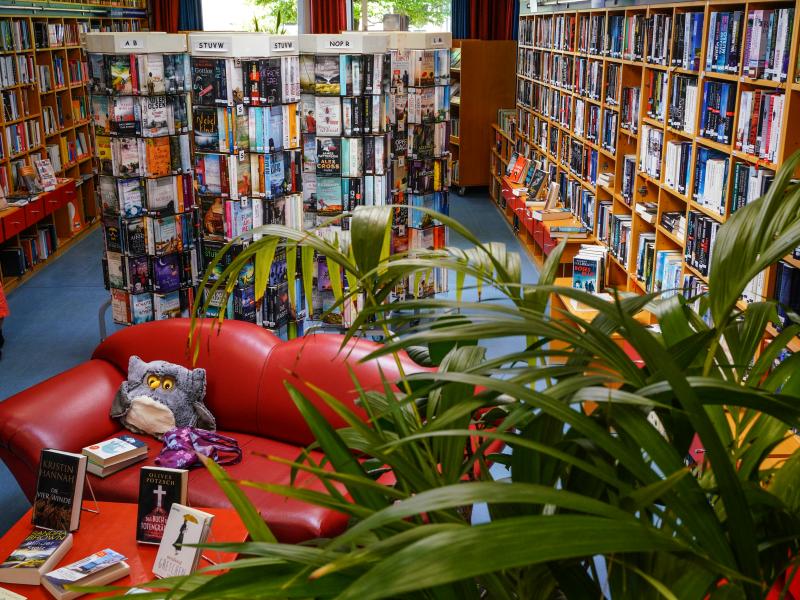 Hölzerne Wandregale und Aufsteller mit verschiedenen, bunten Büchern, vor den Aufstellern rotes Ledersofa mit Bücher auf rotem Tisch davor, unten rechts grüne Blätter einer palmenartigen Pflanze, links Person mit roter Hose, Sandalen und Bluse vor linkem Wandregal